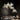 Ceramic Ginkgo Luxury Branch Chandelier 